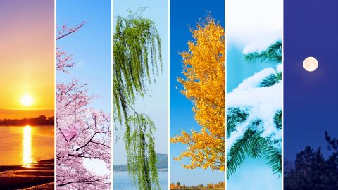 hari keempat tuhan menciptakan,hari ke 4 tuhan menciptakan